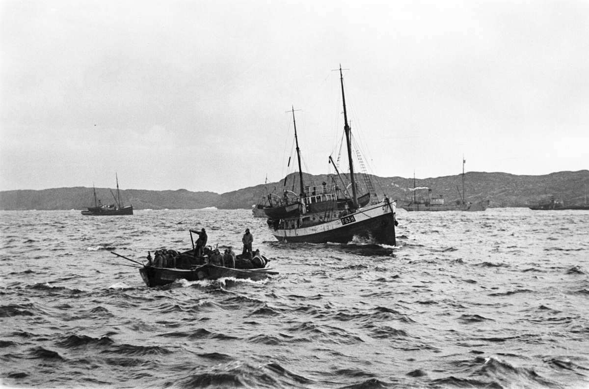 Anders Beer Wilse, Prot: Sildefiske paa havet