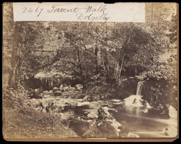 Francis Frith, Torrent Walk.  Dolgelly