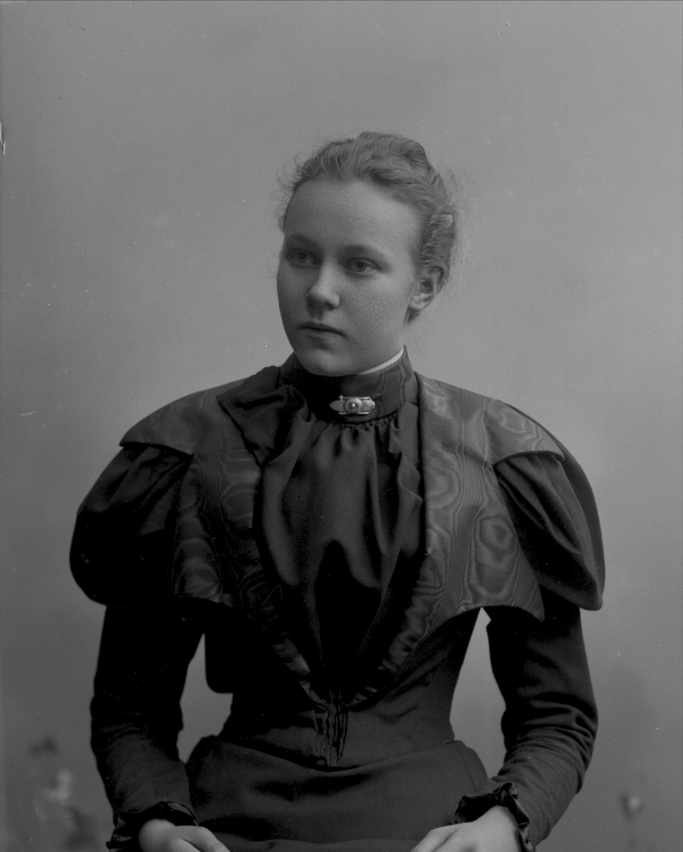Gustav Borgen, NFB.26013