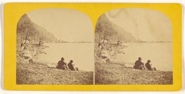 Unknown, Fluellen. Lake Lucerne.