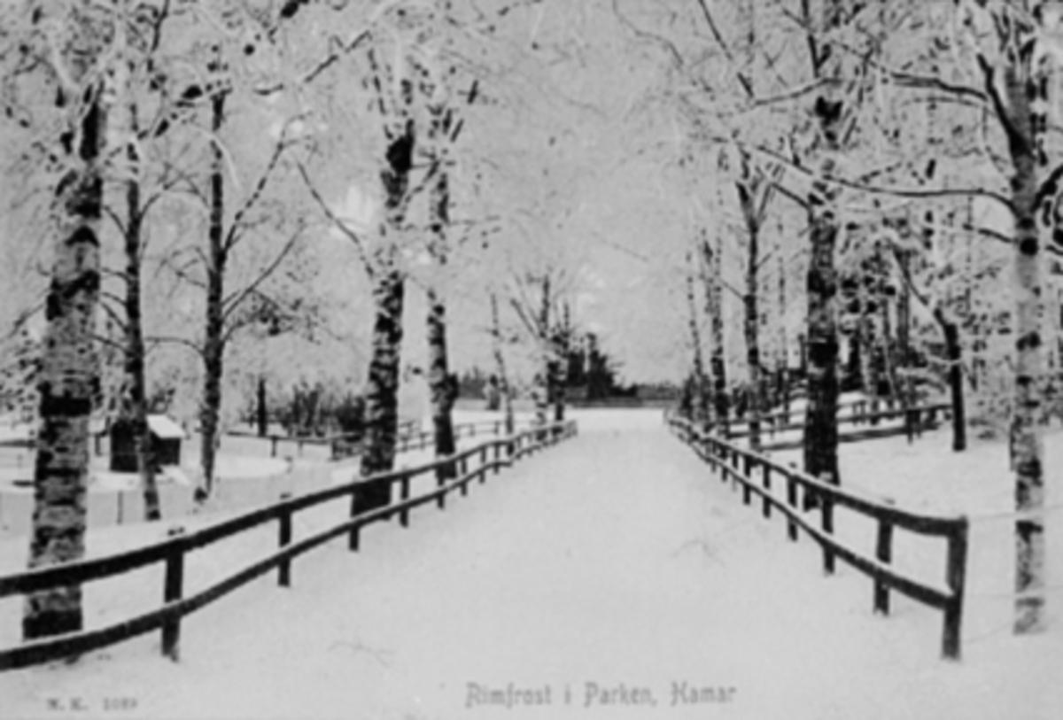 Anno Domkirkeodden, HAMAR PARK, OVERSIKT, VINTER, RIMFROST
