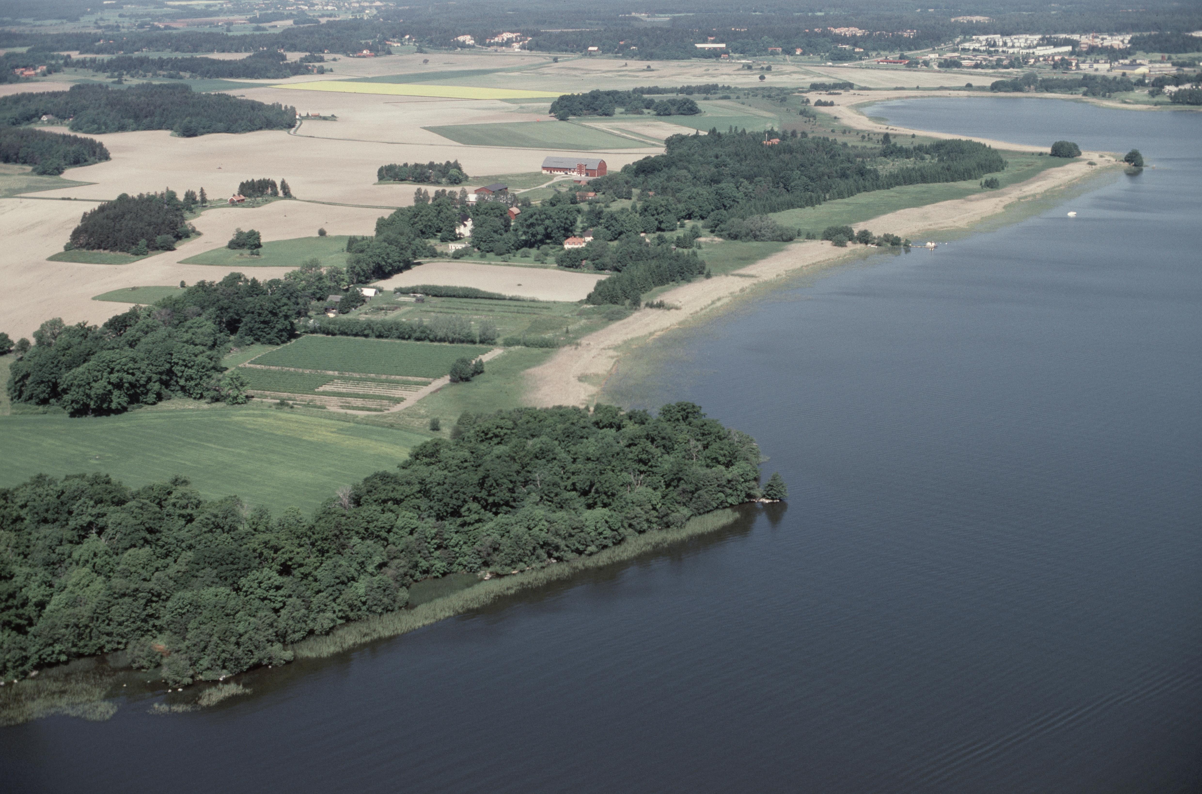 Jan Norrman, Kungsängen 156:1