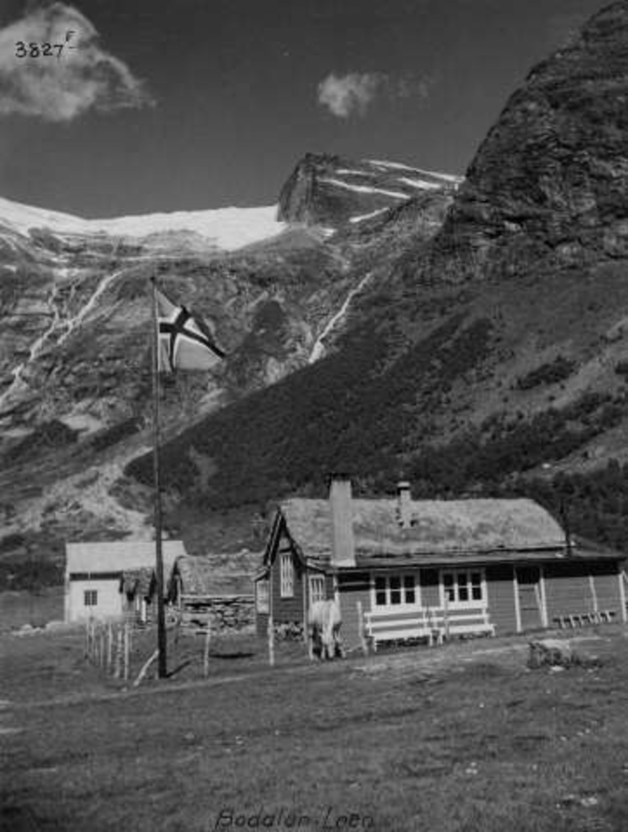 Anders Beer Wilse, -7068