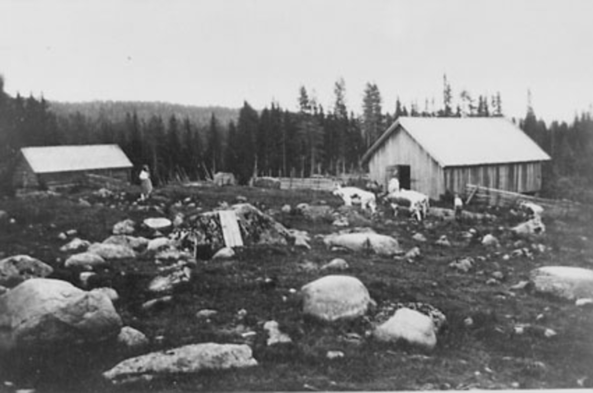Anno Domkirkeodden, EKSTERIØR: SETER, NYSETRA, STANGE ALLMENNING, SAXRUDS SETER, SAXRUD, SAKSERUD, TANGEN,