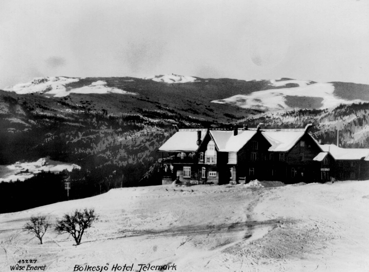 Anders Beer Wilse, Bolkesjø Turisthotell, Notodden, Telemark. Vinterlandskap.