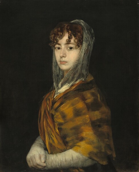 Francisco Goya, Señora Sabasa Garcia