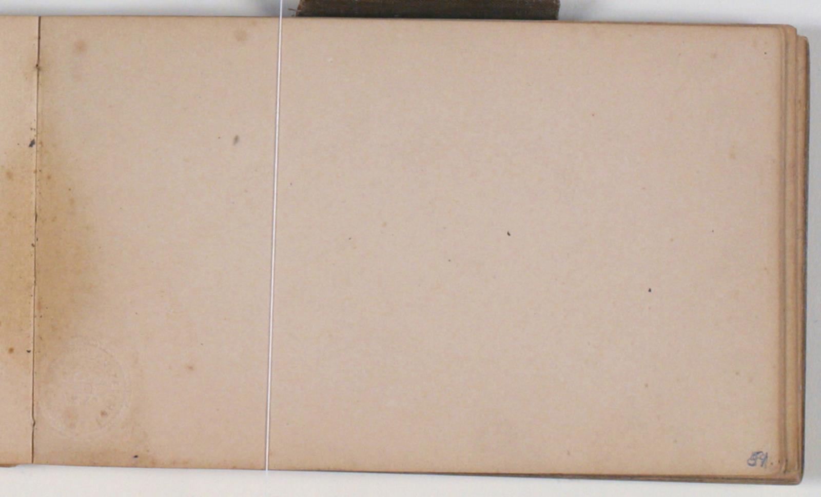 Niels Larsen Stevns, Blank