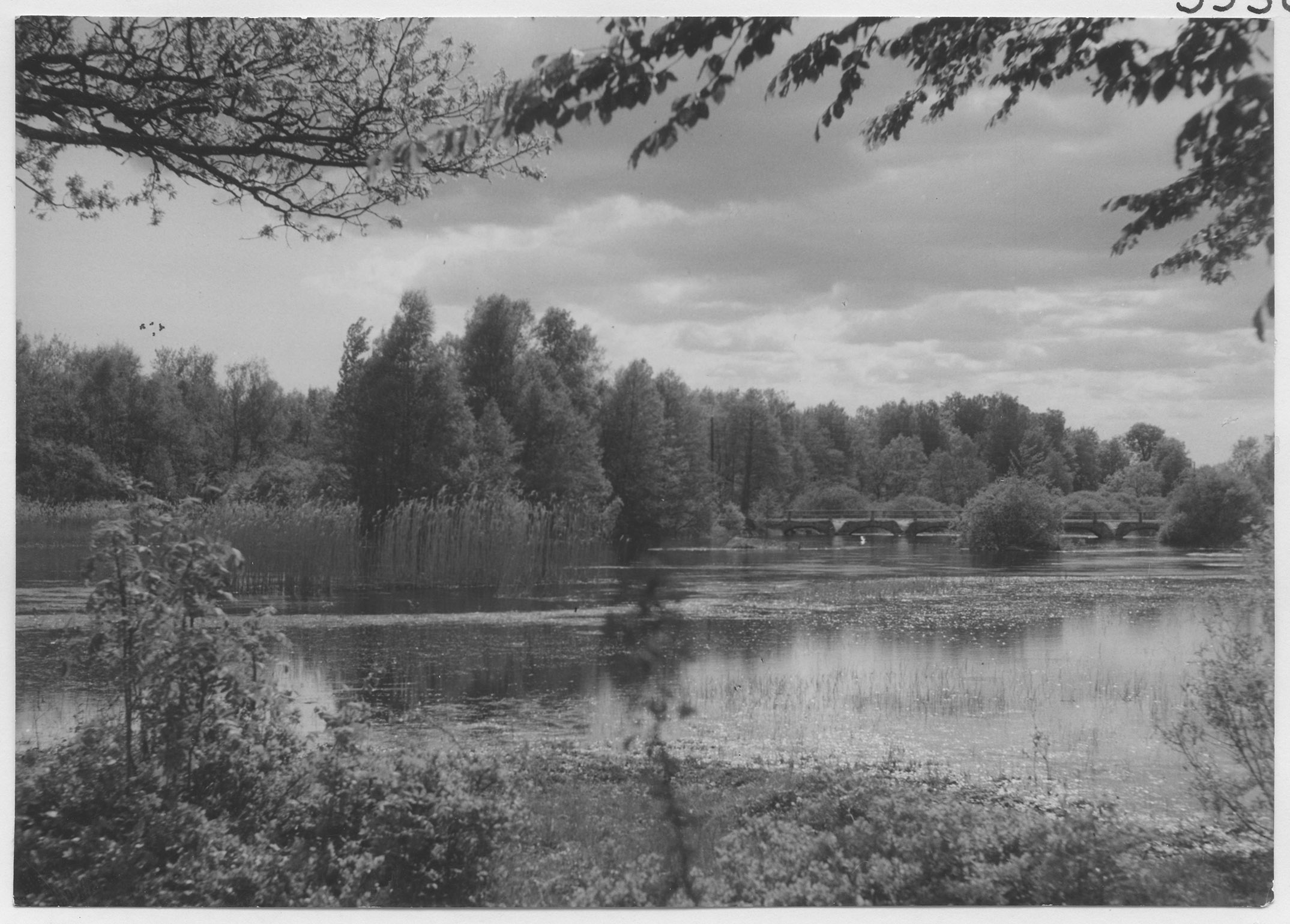 Mårten Sjöbeck, Sundet mellan Åsnen och Havbältefjord, "Slottsholmen"