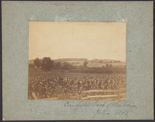 Thomas Eakins, [Cornfield in Back of the Barn]