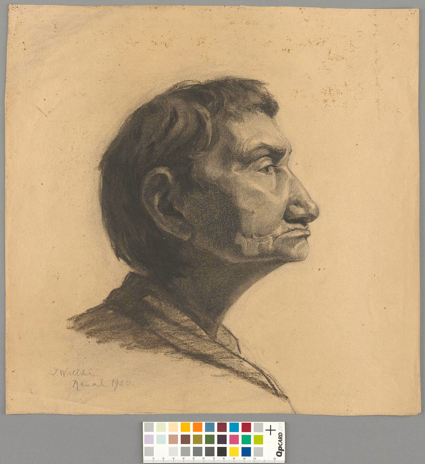 Lilly (autor) Walther, Naise pea