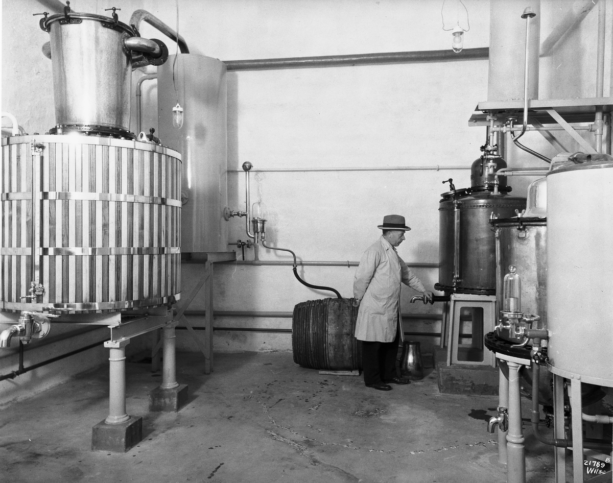 Anders Beer Wilse, Prot: Løiten