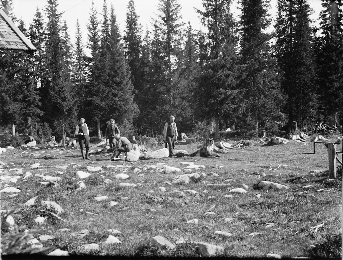 Ragnvald Andersen, Fem menn på jakt i skogen.
