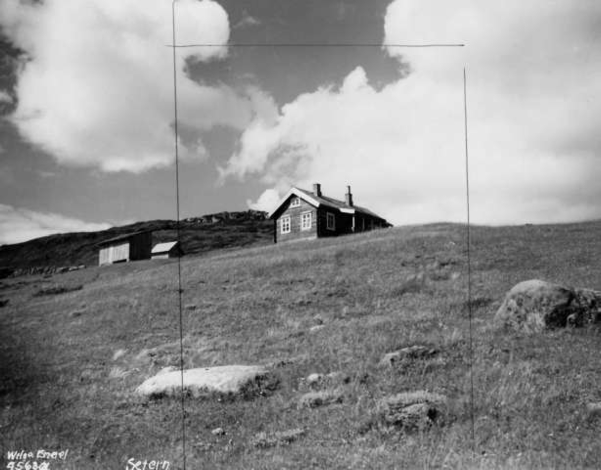 Anders Beer Wilse, -8007