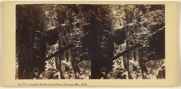 Edward Bierstadt, The Suspended Bridge in the Flume, Franconia Mts., N.H.