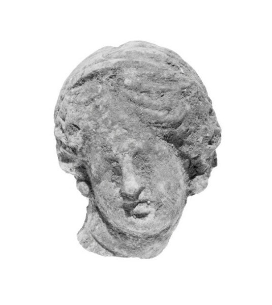Unknown, Head with Knidian Coiffure