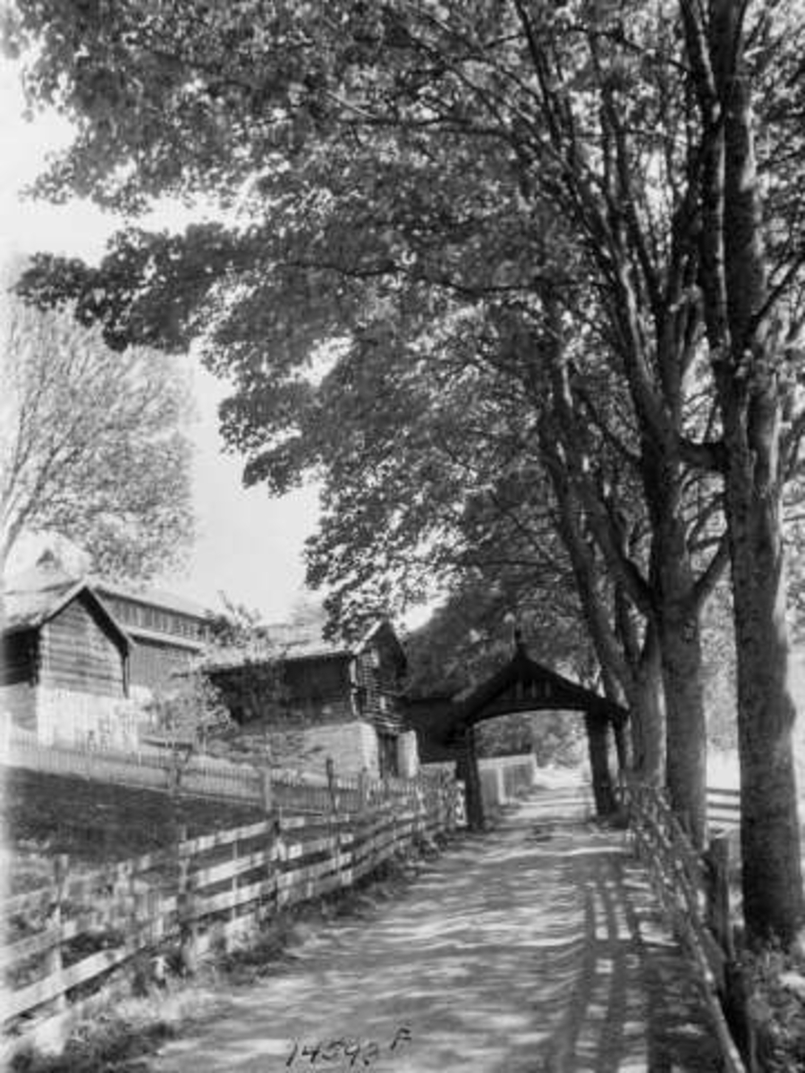 Anders Beer Wilse, -7042