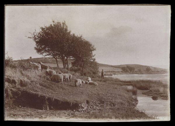 Gale, Lt. Col. Joseph, Shepherd and sheep in a landscape