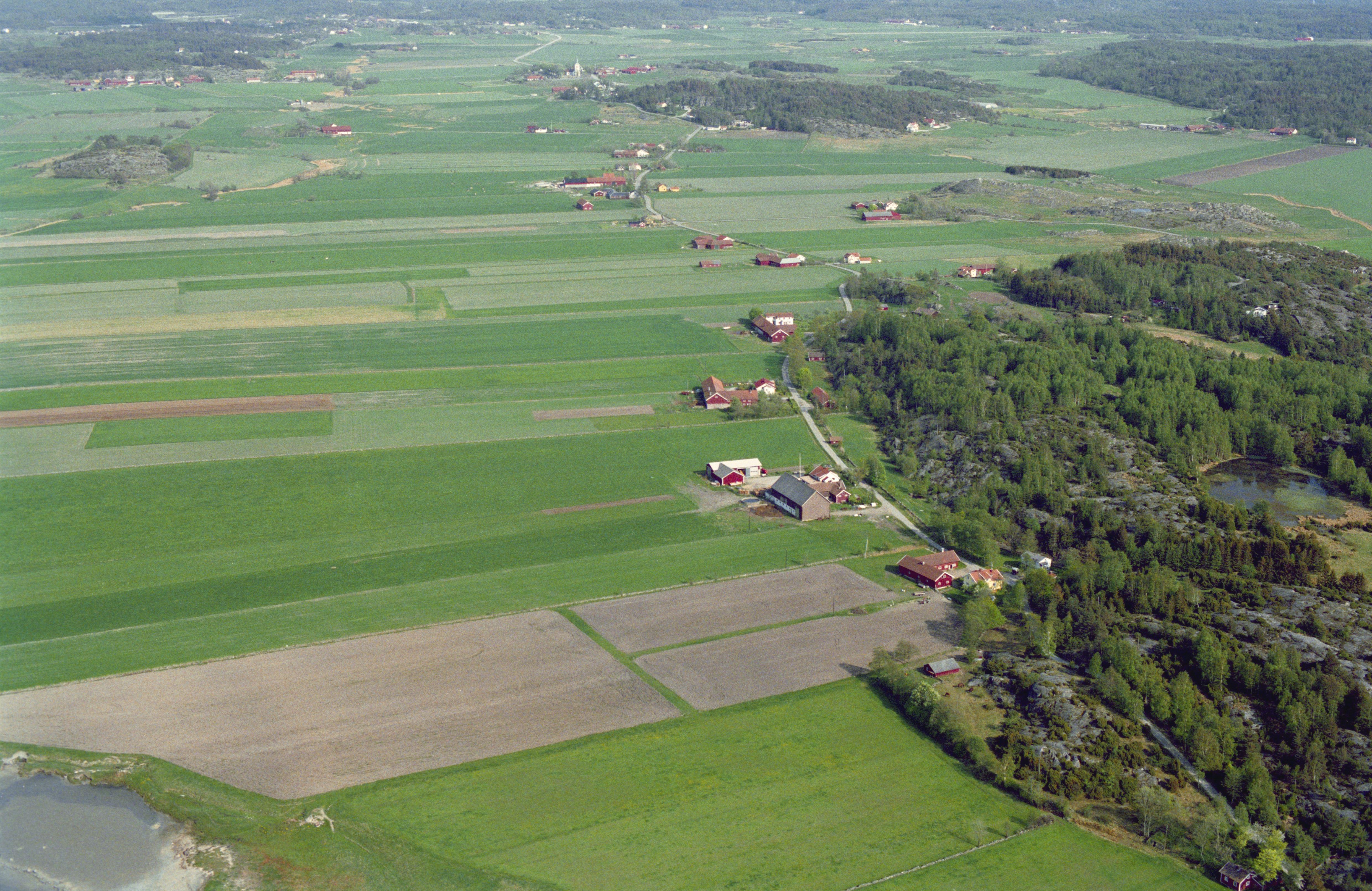 Jan Norrman, Vallby