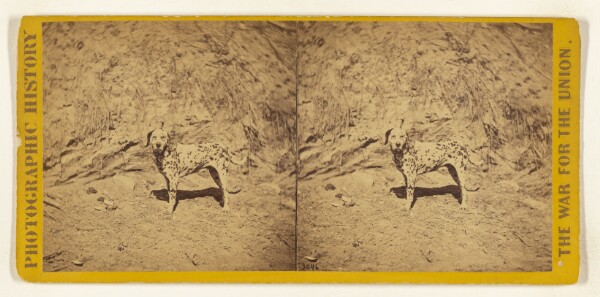 Edward and Henry T. Anthony & Co., Gen. Ingals' Dog. View taken in the trenches before Petersburgh, Va.
