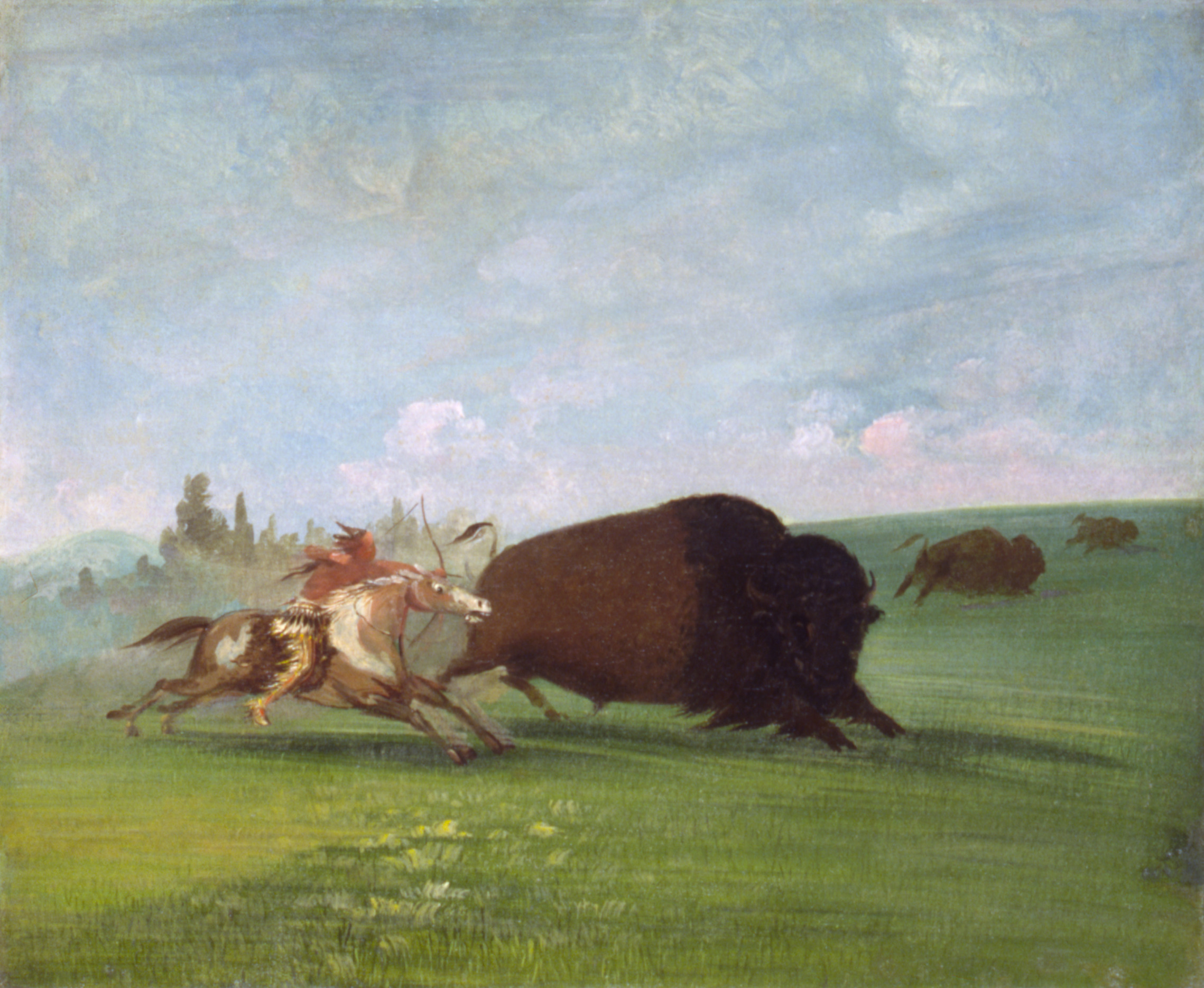 George Catlin, Buffalo Chase, a Single Death