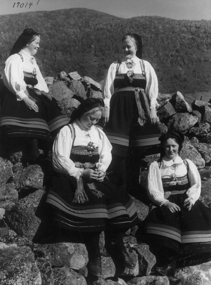 Anders Beer Wilse, Wilse original, Kvinnedrakt