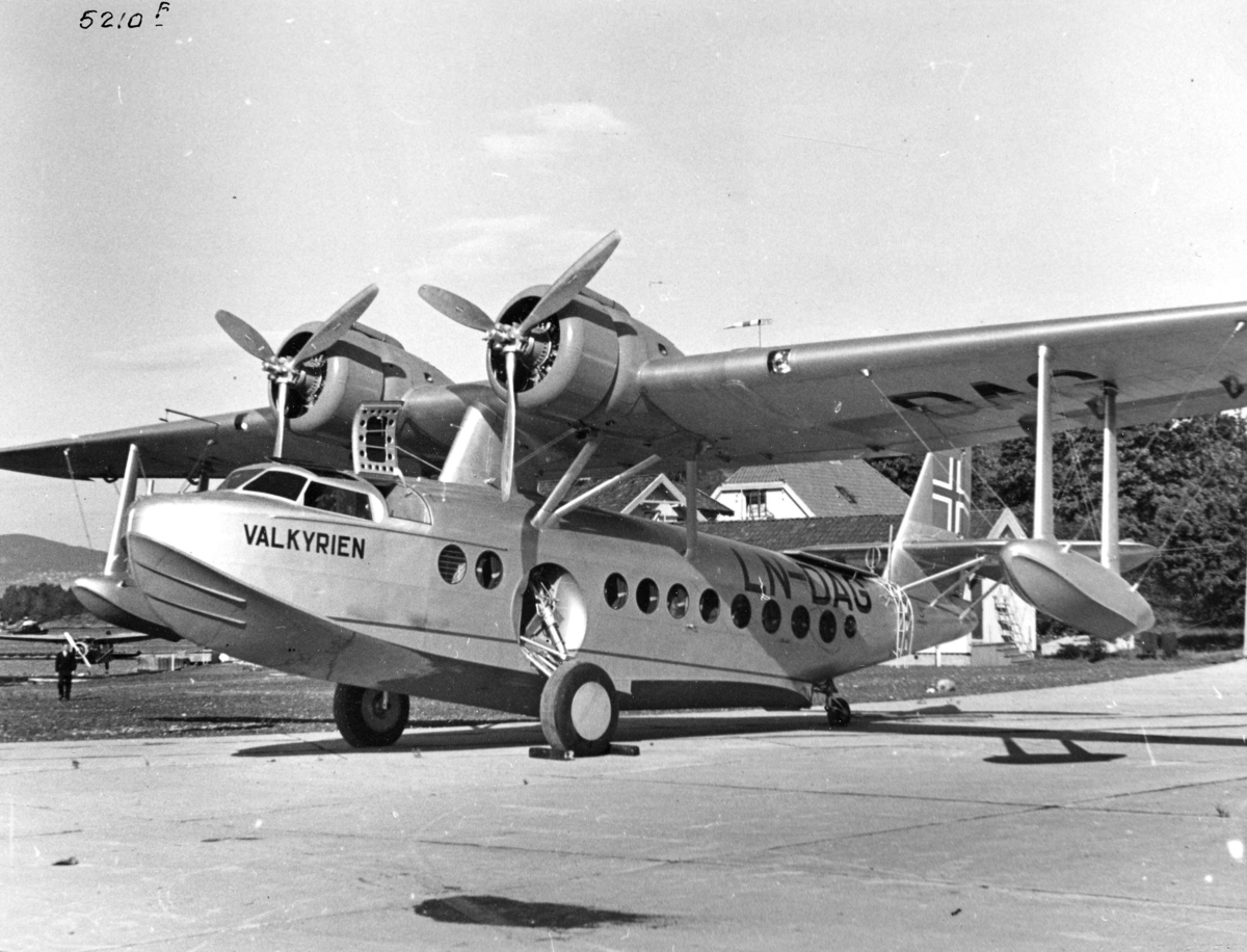 Anders Beer Wilse, Fly