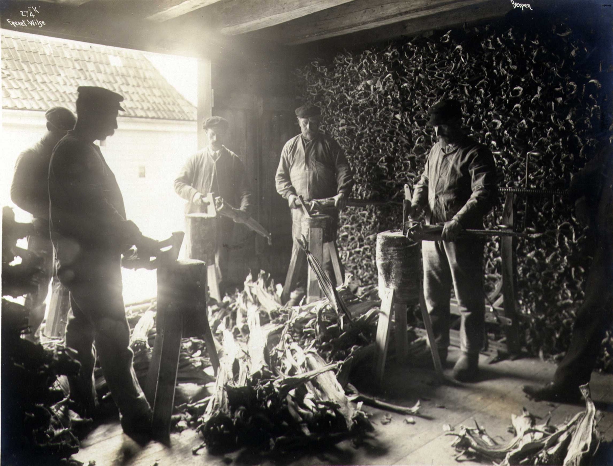 Anders Beer Wilse, Fiskemottak for tørrfisk, Bergen, Hordaland. Fotografert 1912.