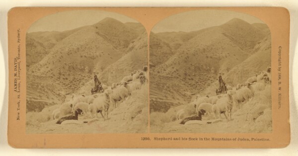 Benjamin West Kilburn, Shepherd and his flock in the Mountains of Judea, Palestine.