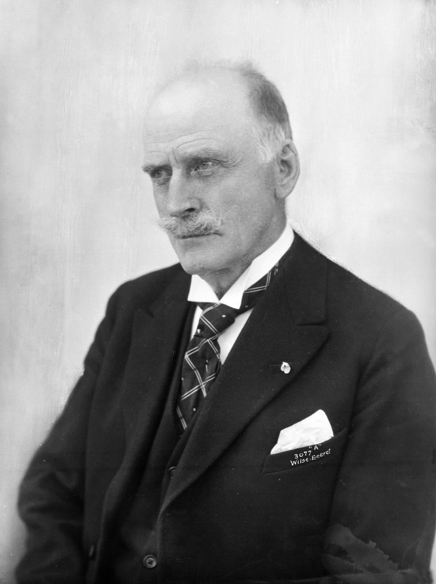 Anders Beer Wilse, Prot: Hamsun portræt