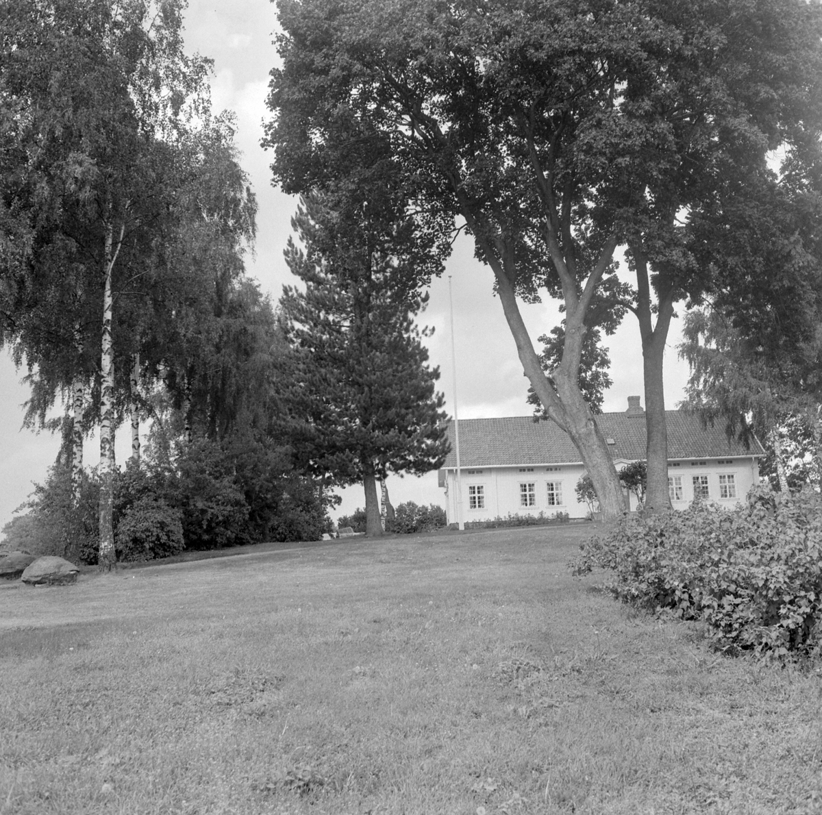 Adolf Skjegstad, ASK-04568