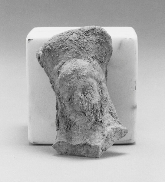 Unknown, Female Head