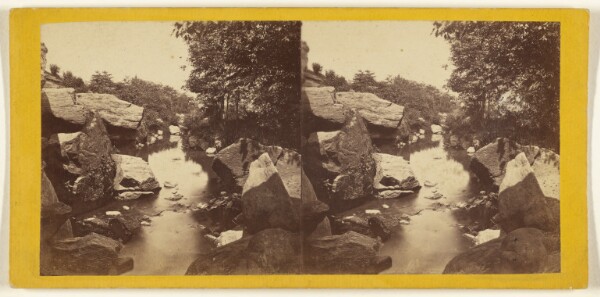 Edward and Henry T. Anthony & Co., Central Park. (New York.) The Brook near the Upper Lake.