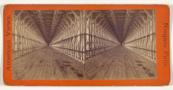 Edward and Henry T. Anthony & Co., Perspective View. Suspension Bridge Carriage Way.