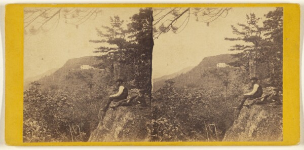 Edward and Henry T. Anthony & Co., The Glens of the Catskills. Catskill Mountain House, from North Mountain.