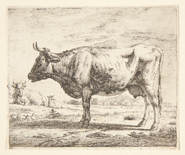Adriaen van de Velde, To køer og et får