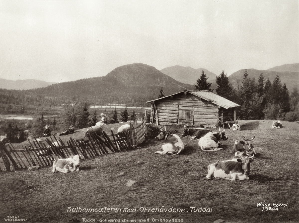 Anders Beer Wilse, Prot: Telemark - Tuddal, Solheimsæter, paa tunet