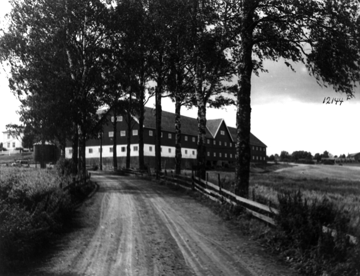 Anders Beer Wilse, Østby gård, Landbruk