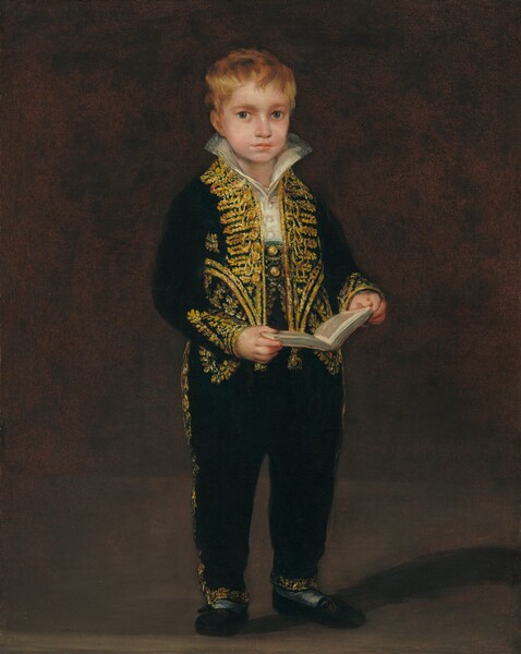Francisco Goya, Victor Guye