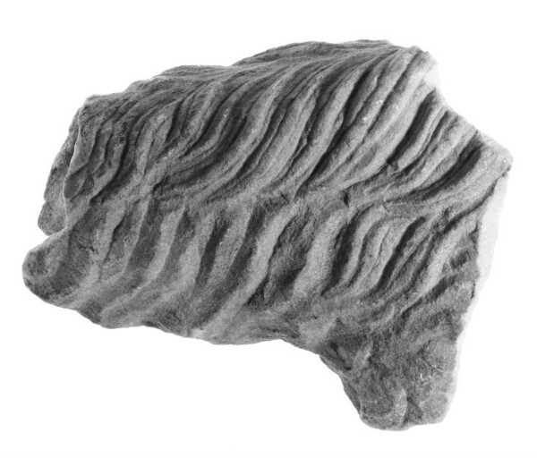 Unknown, Fragment of a Sculpture: Animal Leg