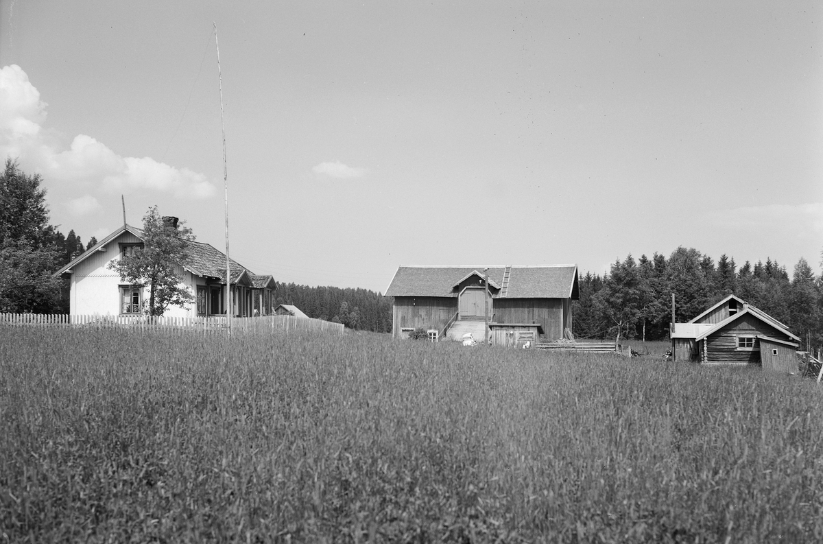 Anno Domkirkeodden, EKSTR: GARDSTUN, ENGEN. KNUTSDALSENGEN, LØTEN. Se Løtenboka, bind 3. Bygdeboka fra 1955, side 496