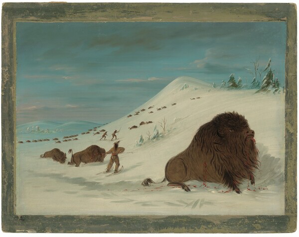 George Catlin, Buffalo Lancing in the Snow Drifts - Sioux