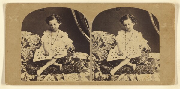 London Stereoscopic and Photographic Company, Early Lessons.