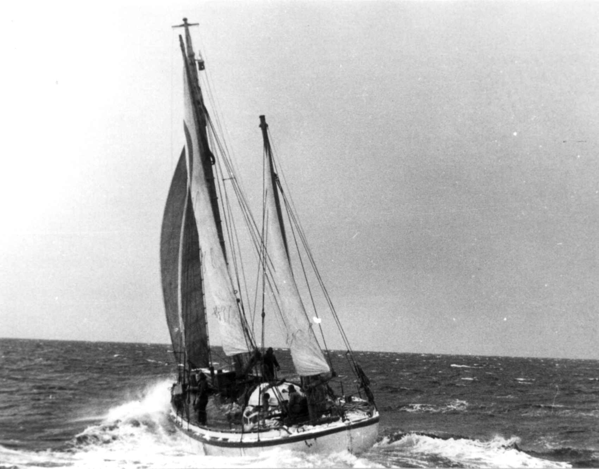 Anders Beer Wilse, Lofotfiske