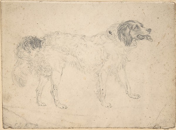 Sir Edwin Henry Landseer, Study of a herding dog facing right