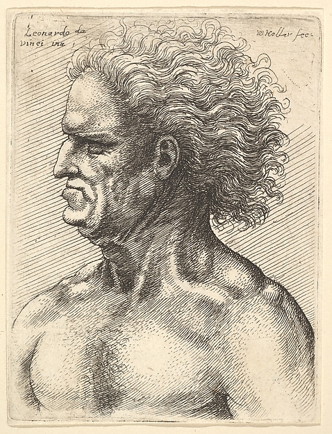 Wenceslaus Hollar, Head of a muscular old man in profile to left with flowing hair