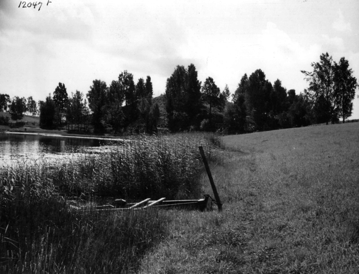 Anders Beer Wilse, Gravhaug Raknehaugen fra nord