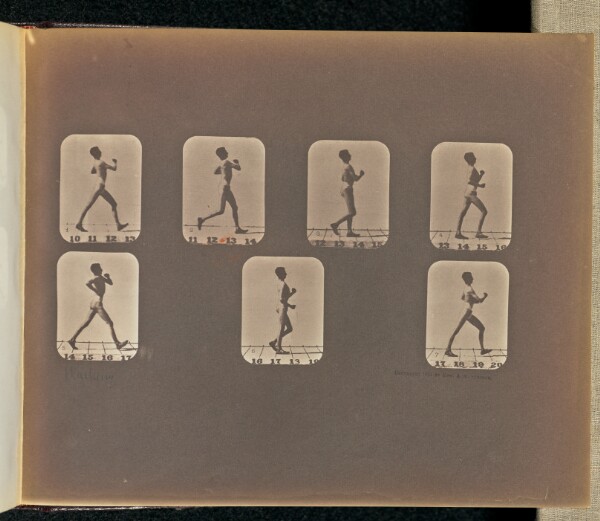 Eadweard J. Muybridge, Walking