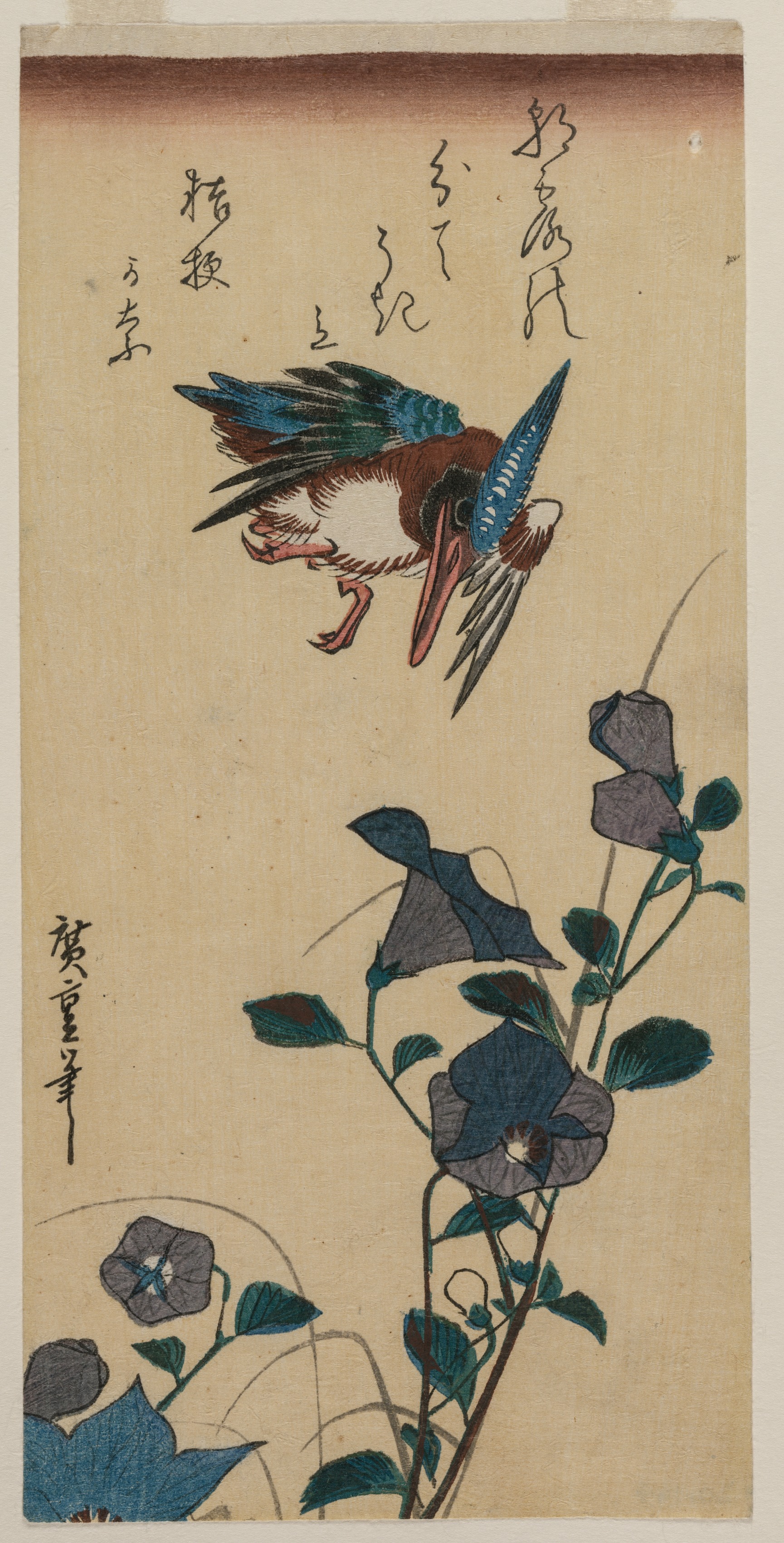 Utagawa Hiroshige, Kingfisher and Chinese Bellflowers