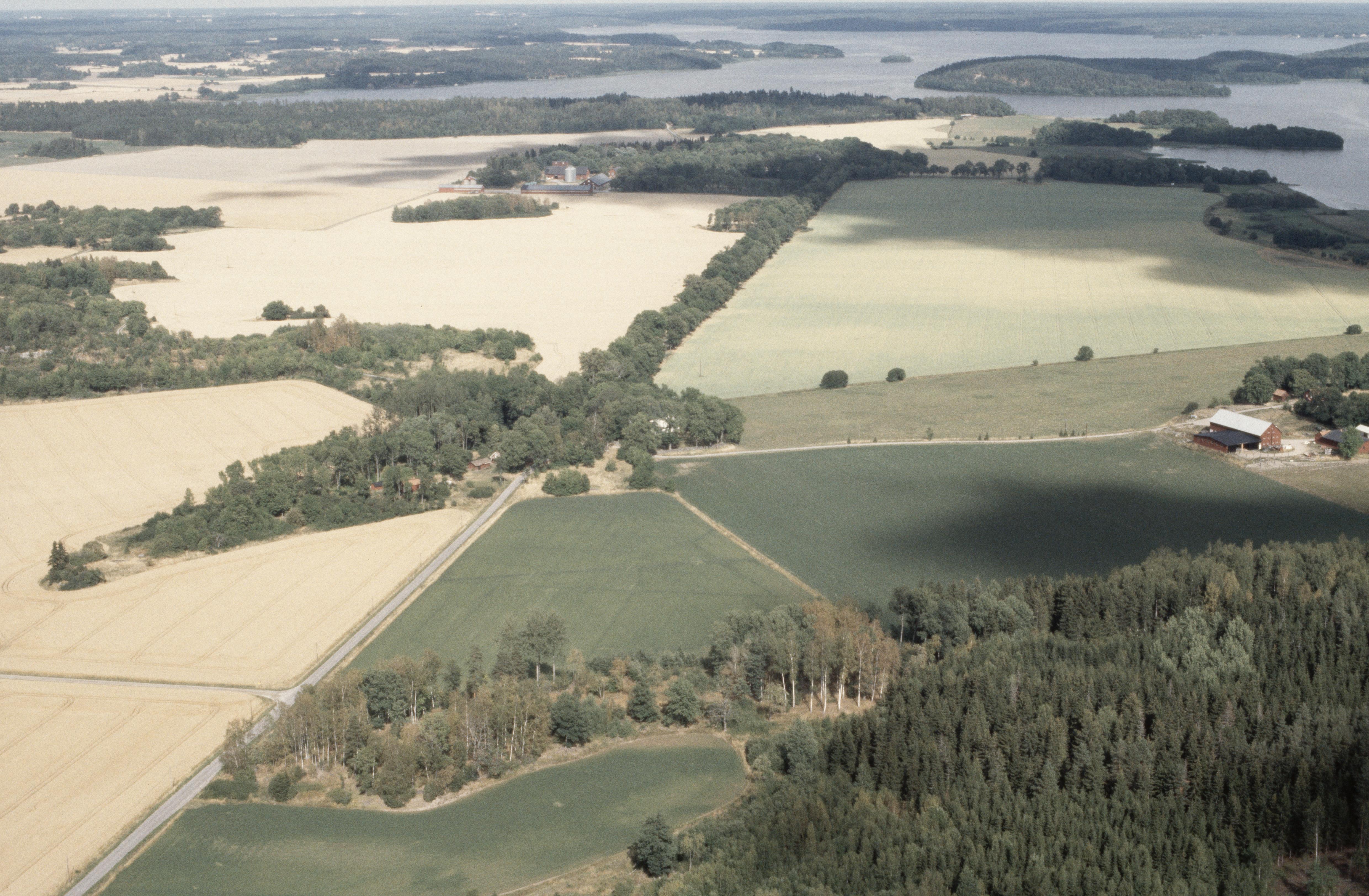 Jan Norrman, Holm