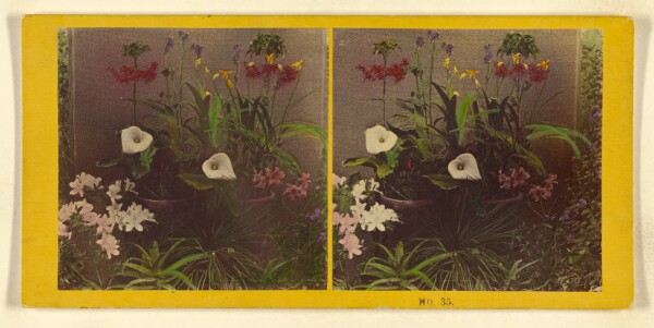 Benjamin West Kilburn, [An array of flowers]